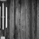 Image for article titled Wood Shooting Challenge